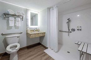 Winter the Dolphins Beach Club, Ascend Hotel Collection