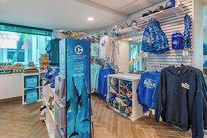 Winter the Dolphins Beach Club, Ascend Hotel Collection