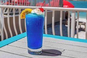 Winter the Dolphins Beach Club, Ascend Hotel Collection