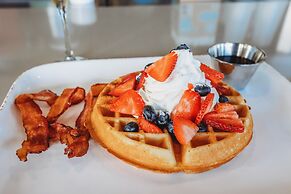 Winter the Dolphins Beach Club, Ascend Hotel Collection