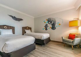 Dolphin Sands Clearwater Beach, an Ascend Collection Hotel