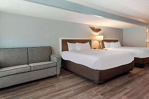 Winter the Dolphins Beach Club, Ascend Hotel Collection