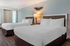 Winter the Dolphins Beach Club, Ascend Hotel Collection