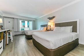 Winter the Dolphins Beach Club, Ascend Hotel Collection