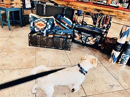 The Classic Desert Aire Hotel