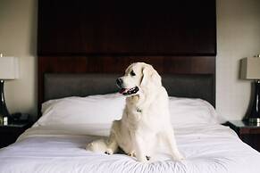 The Westin Seattle