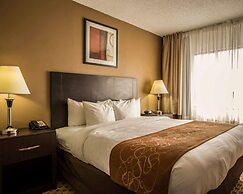 Comfort Suites Lumberton