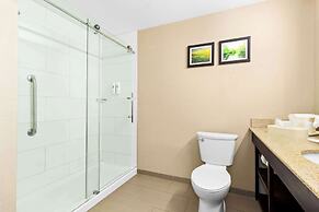 Comfort Suites Lumberton