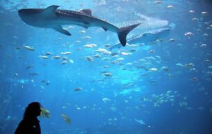 Crowne Plaza Atlanta NE - Norcross by IHG