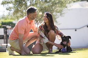 Tommy Bahama Miramonte Resort & Spa