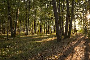Hôtel Relais des Landes