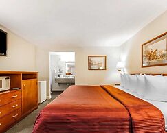 Quality Inn Maysville