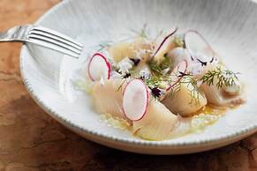 Imperial Riding School, Autograph Collection