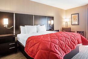 Greenstay Inn & Suites CourtView