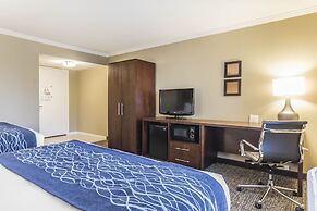 Comfort Inn Sunnyvale - Silicon Valley