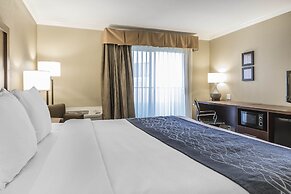 Comfort Inn Sunnyvale - Silicon Valley