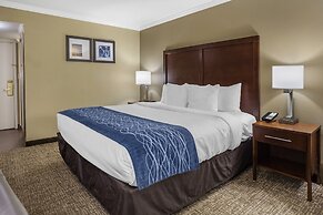 Comfort Inn Sunnyvale - Silicon Valley