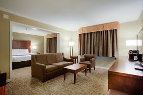 Comfort Inn Sunnyvale - Silicon Valley