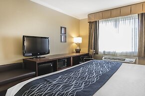 Comfort Inn Sunnyvale - Silicon Valley