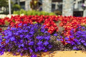 Accent Inns Vancouver Airport