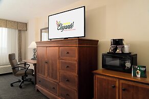 MCM Eleganté Hotel & Conference Center Beaumont