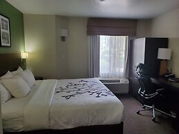 Sleep Inn Horn Lake - Southaven