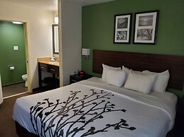 Sleep Inn Horn Lake - Southaven