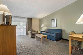 Quality Inn & Suites NRG Park - Medical Center
