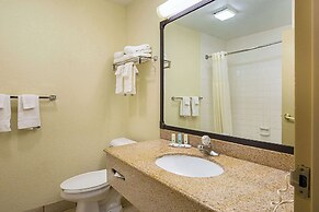 Quality Inn & Suites NRG Park - Medical Center