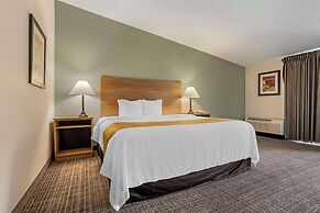Quality Inn & Suites NRG Park - Medical Center