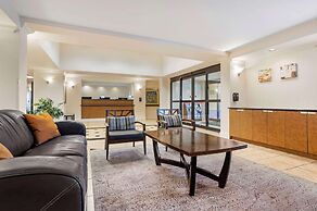 Quality Inn & Suites NRG Park - Medical Center