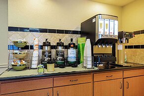 Quality Inn & Suites NRG Park - Medical Center