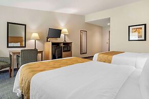 Quality Inn & Suites NRG Park - Medical Center