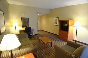 Quality Inn & Suites NRG Park - Medical Center