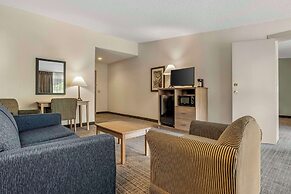 Quality Inn & Suites NRG Park - Medical Center