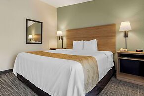 Quality Inn & Suites NRG Park - Medical Center