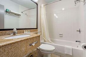 Quality Inn & Suites NRG Park - Medical Center