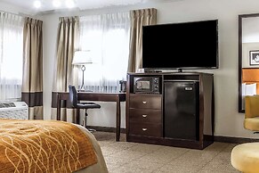 Comfort Inn Santa Cruz