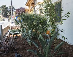 Comfort Inn Santa Cruz