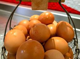 Ibis Grenoble Centre Bastille