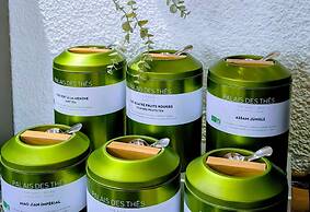 Ibis Grenoble Centre Bastille