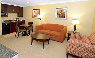 Holiday Inn Hotel & Suites San Mateo-San Francisco SFO by IHG
