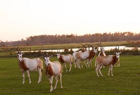 Holiday Inn Express & Suites Lakeland South by IHG