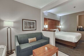 Comfort Suites Appleton Airport