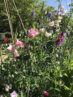 Hintlesham Hall Hotel