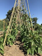 Hintlesham Hall Hotel