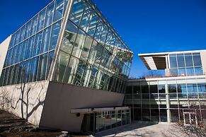 The Chicago Hotel Collection Ambassador Gold Coast