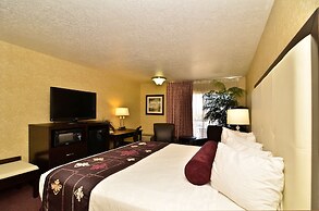 Best Western Coral Hills