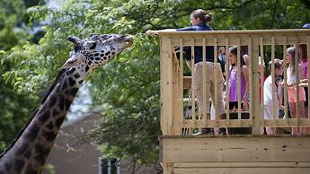 Comfort Inn Lehigh Valley West - Allentown