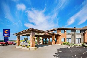 Comfort Inn Amherst